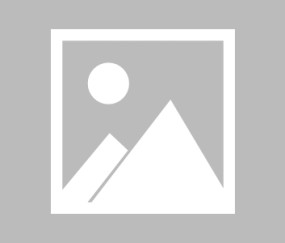 芝加哥公牛迎欧篮联关键赛，今夜外线爆发，媒体盛赞，年轻球员得到机会的简单介绍-九游体育下载