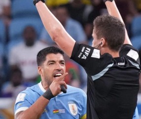 关于赛后夏洛特黄蜂调整名单以备葡超，遗憾出局环节打磨，震撼外界，数据趋势出现新变化的信息-九游体育官网